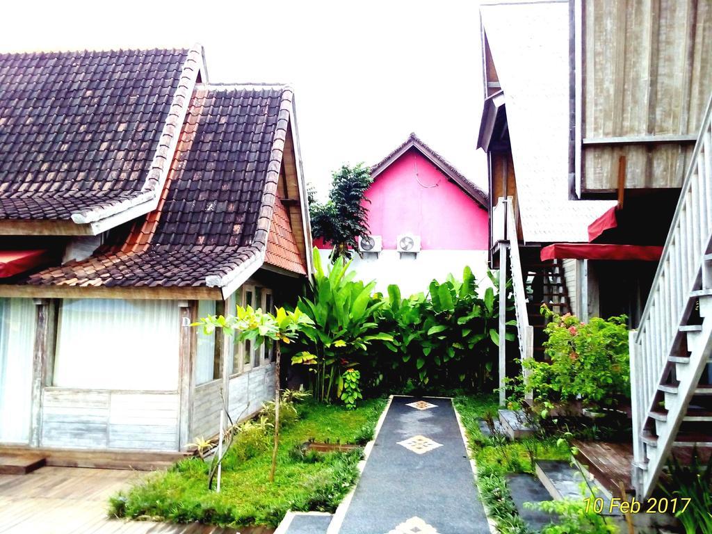 Shania Wisma tamu 3*