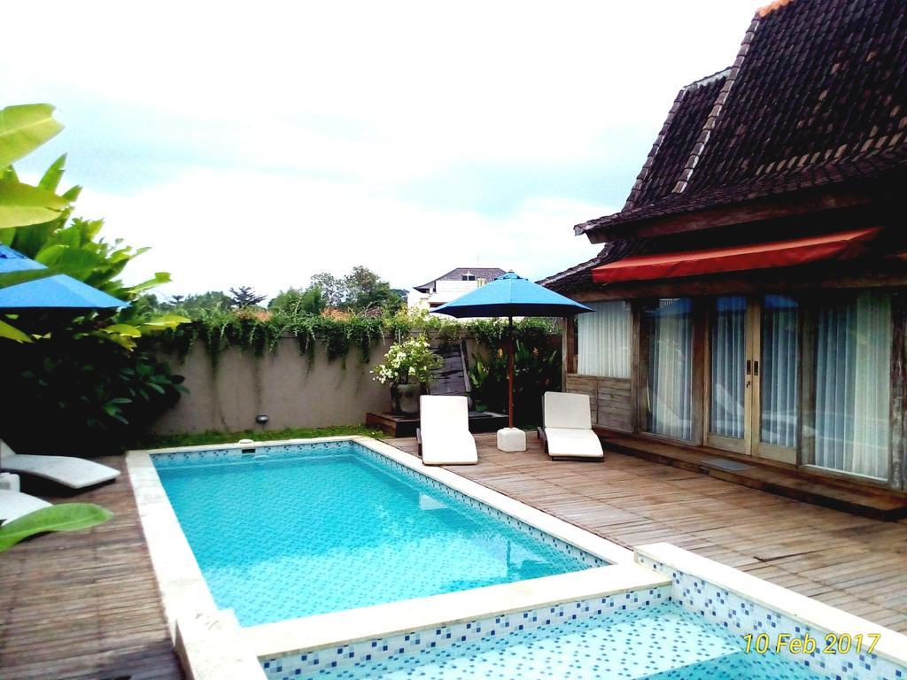 Shania Wisma tamu
