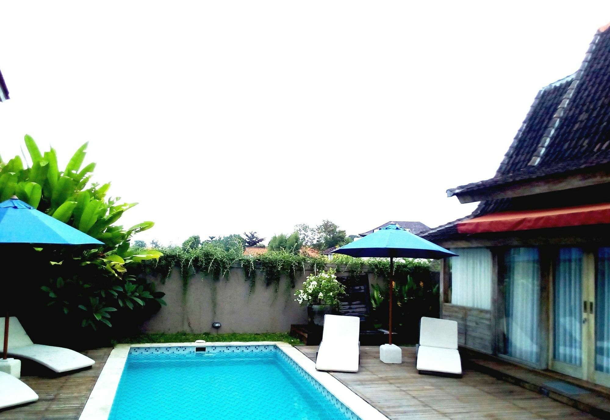 Shania Wisma tamu