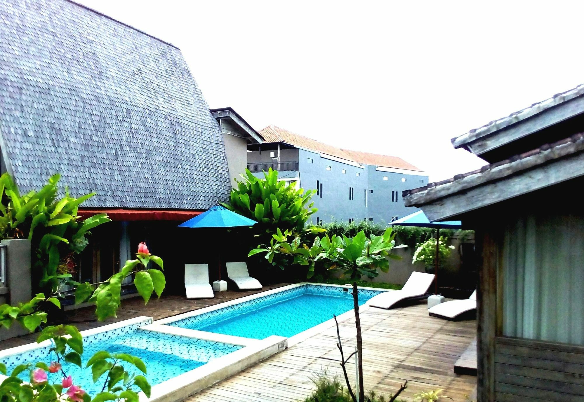 Wisma tamu Shania